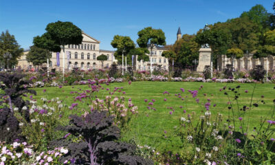 Schlossplatz coburg