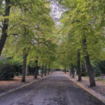Friedhof Coburg